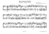Robert Schumann: Träumerei (aus den Kinderszenen) für Klavier (erleichterte Version)